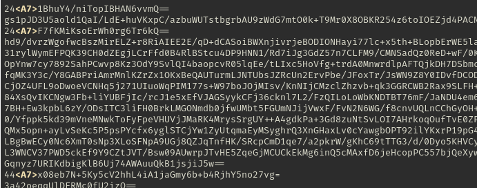 tcp-stream-5-data.txt excerpt illustrating the presence of non-base64 encoded prefixes on some lines