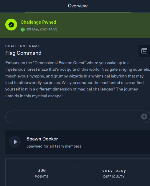 Submission of the flag marked the challenge as pwned