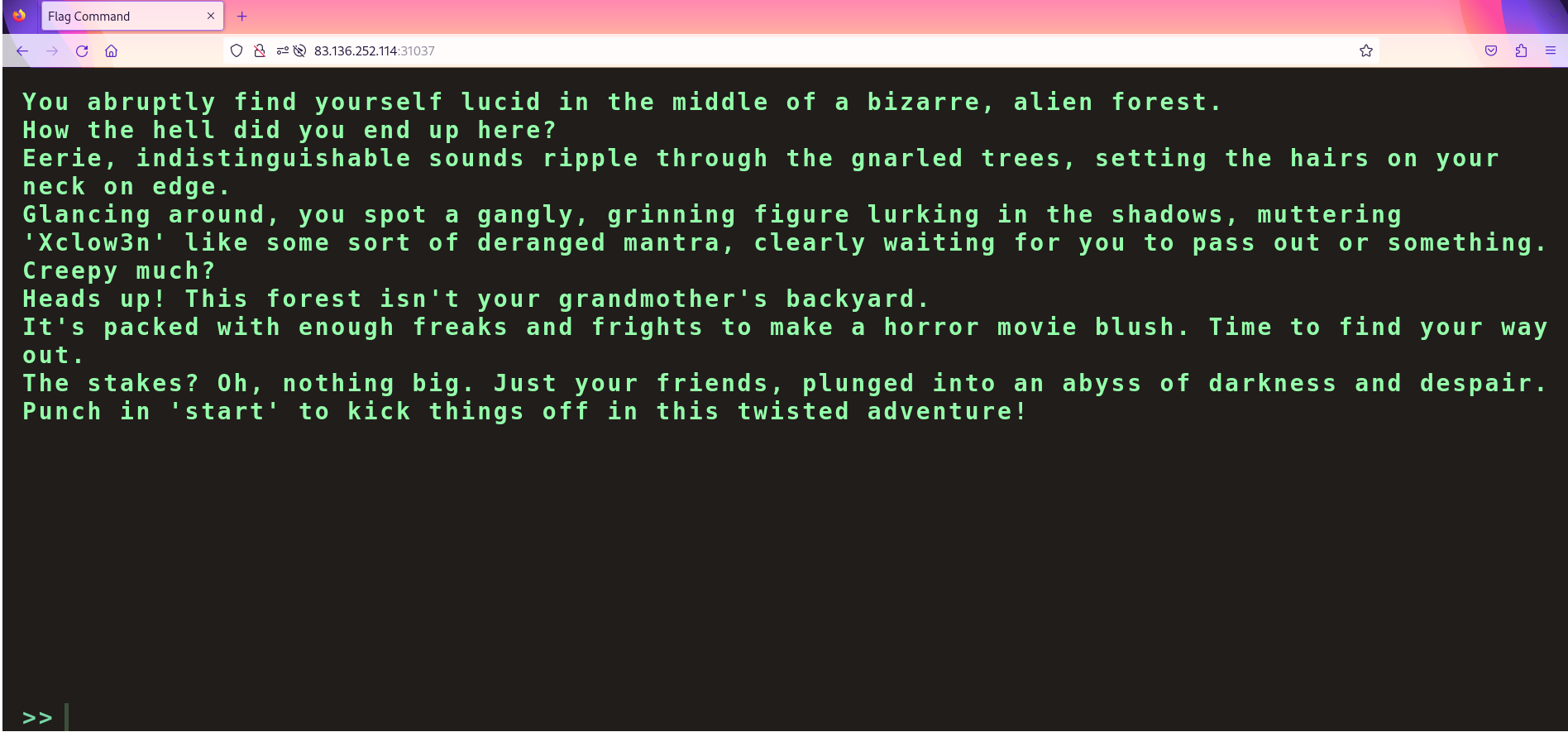 The website displays a terminal-like prompt
