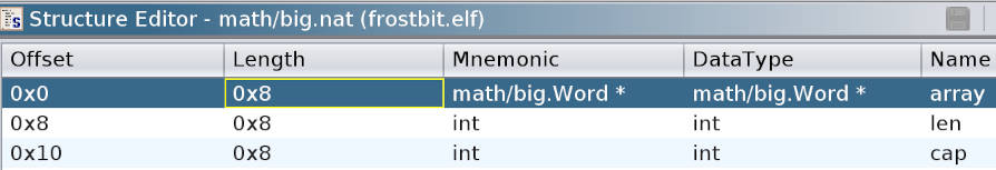 Ghidra - structure of the math/big.nat type